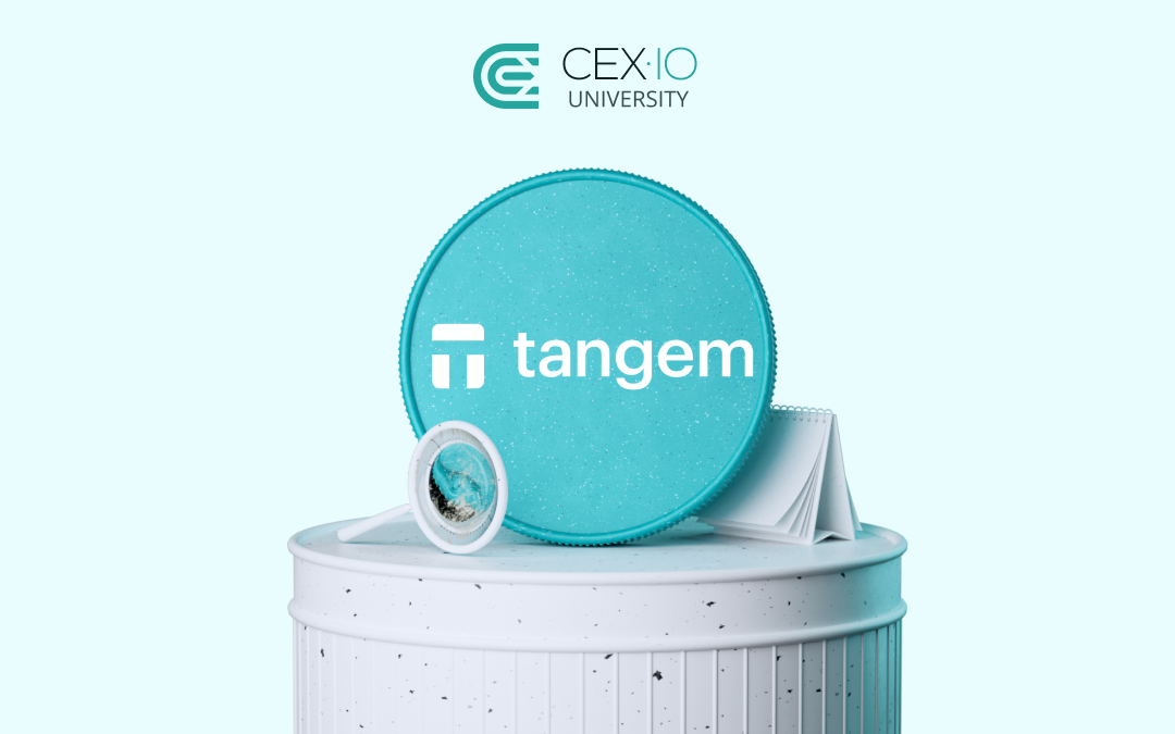 Tangem Wallet Review 2026 CEX IO University tangem-wallet-review-2026-cex-io-university