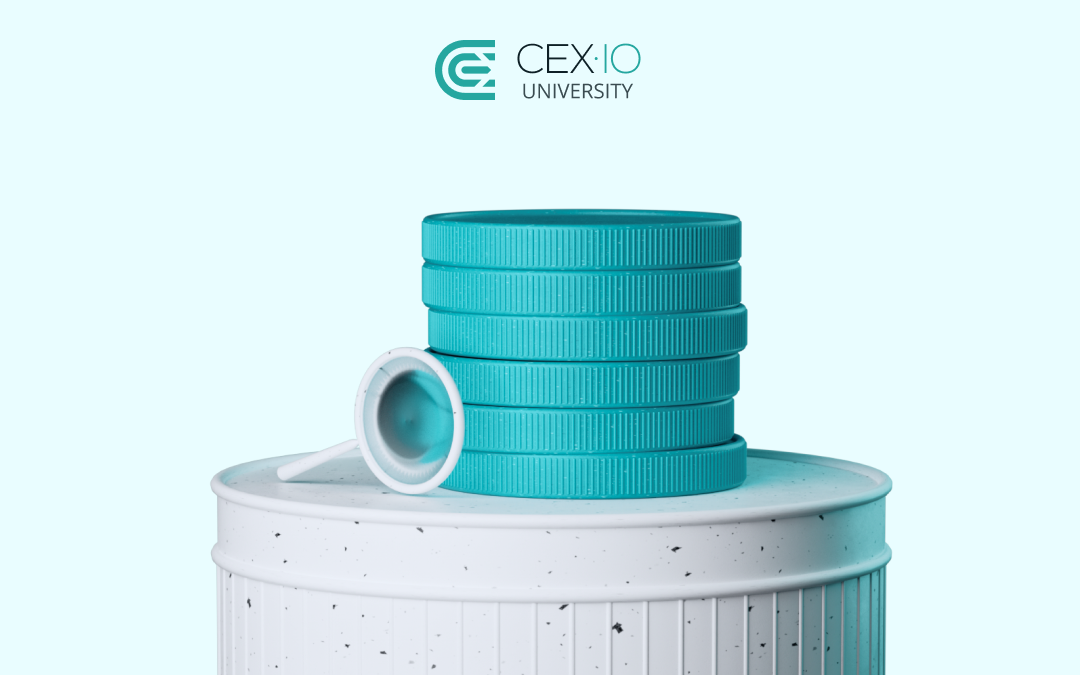 How To Get Set Up A Crypto Wallet Beginner Guide CEX IO University how-to-get-set-up-a-crypto-wallet-beginner-guide-cex-io-university
